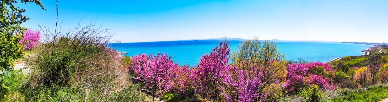 Luxury Apartments Alix Burgas Екстер'єр фото