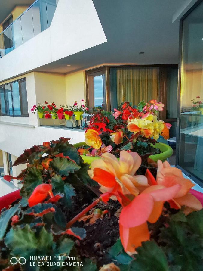 Luxury Apartments Alix Burgas Екстер'єр фото